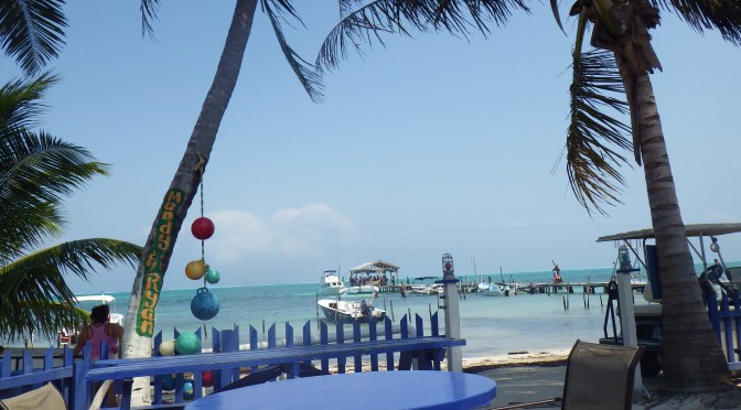Hot Tamale? Shark Touching? Loose Egg? – Caye Caulker, Belize: Check!
