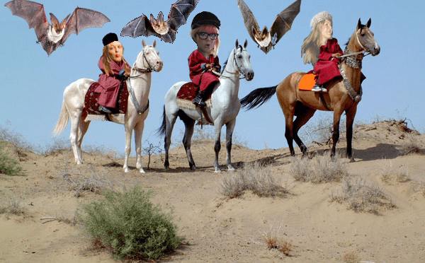 How not to get pecked by a kestrel – The Five Year Plan…