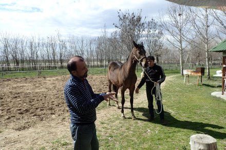 Some explanation in Russian that we couldn't understand.