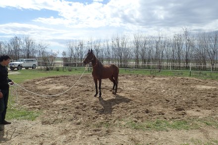 One of our potential rides