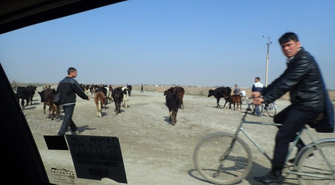 Termiz to Denau to Dushanbe to Khojand – Oh My! Your 2 Girls head from Uzbekistan to Tajikistan.